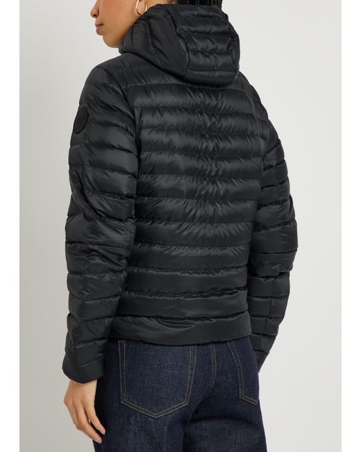 Canada Goose Black Light Down Coat