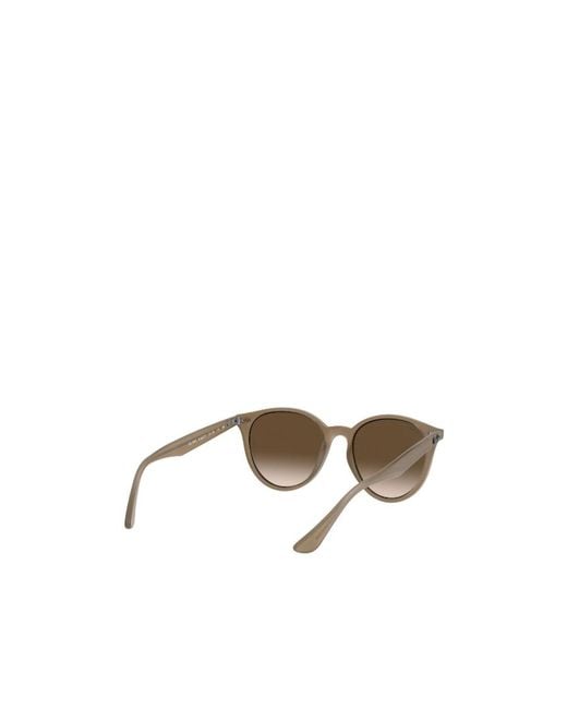 Ray-Ban Multicolor Rb4305 Round Frame Sunglasses for men