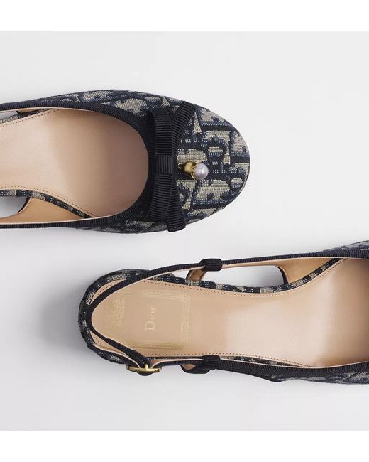Dior Multicolor Ballet Slingback Pump