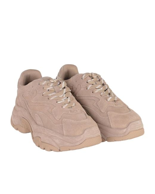 Ash Multicolor Round-Toe Sneakers