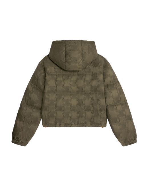 Céline Green Cropped Triomphe Down Jacket