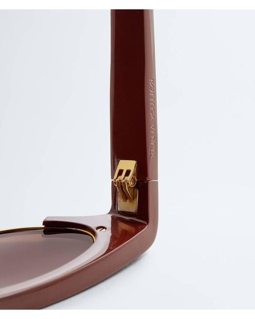 Bottega Veneta Brown Angle Cat Eye Sunglasses for men