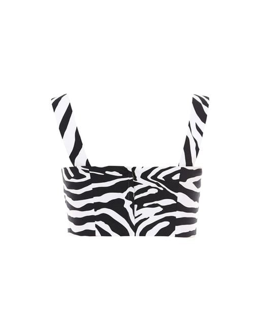 Dolce & Gabbana White Zebra Print Cropped Top