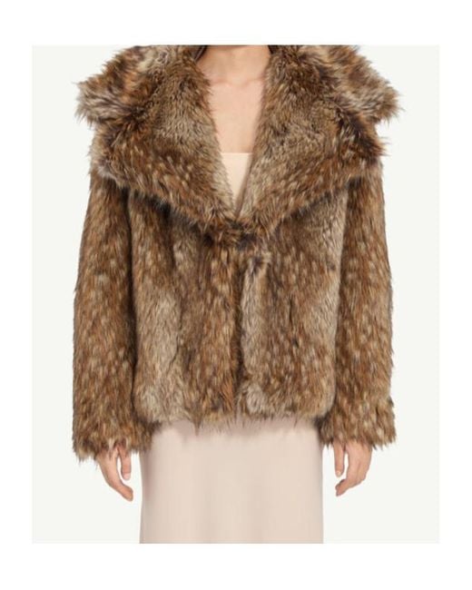 MM6 by Maison Margiela Brown Long Sleeved Open Front Jacket