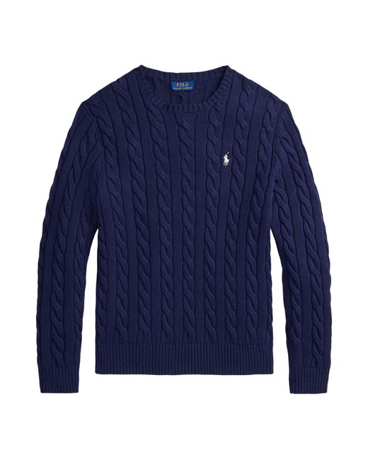 Polo Ralph Lauren Blue Pullover for men