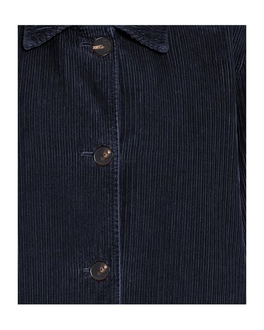 The Row Blue Long-Sleeved Coat