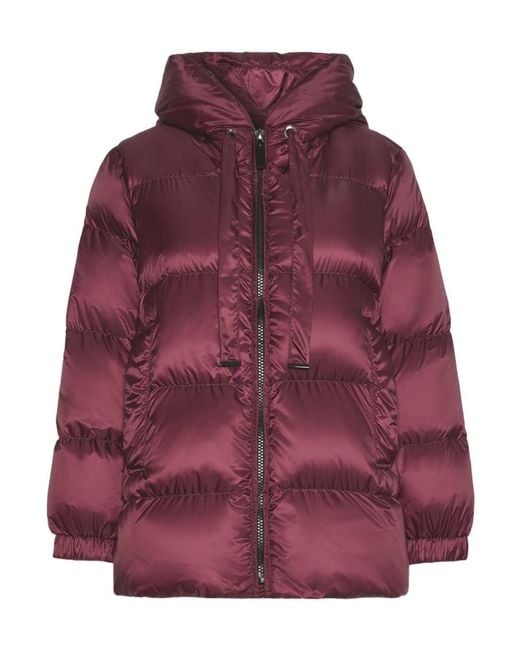 Max Mara Purple Long-Sleeved Padded Jacket