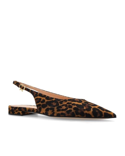 Gianvito Rossi Brown Leopard Printed Pointed Toe Flat Shoes