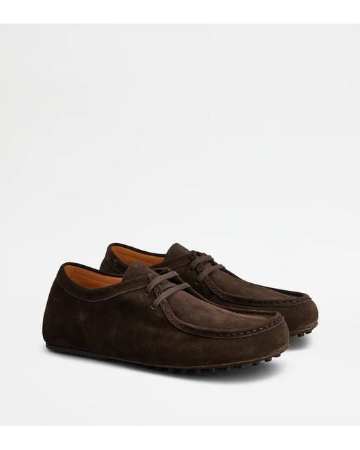 Tod's Brown Lace-Up Derby Shoes for men
