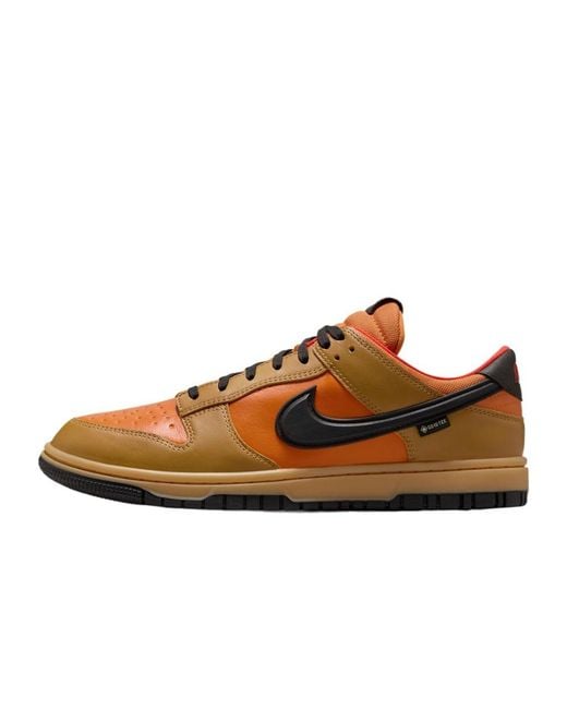 Nike Brown Gore-Tex Dunk Low-Top Trainers for men