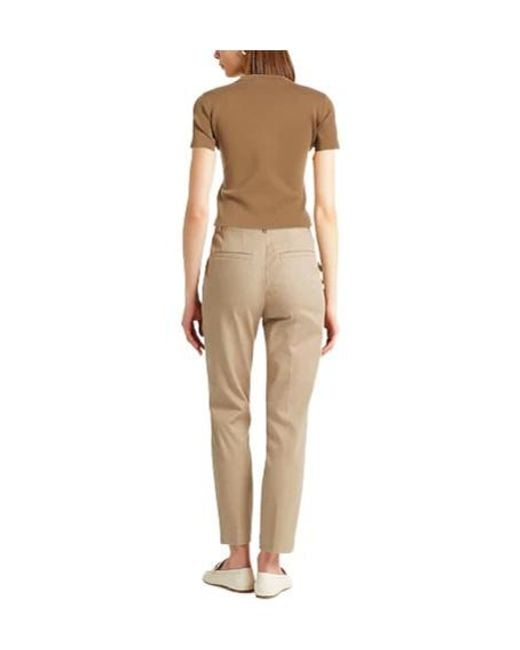 Max Mara Brown Plain Colour Jumpers