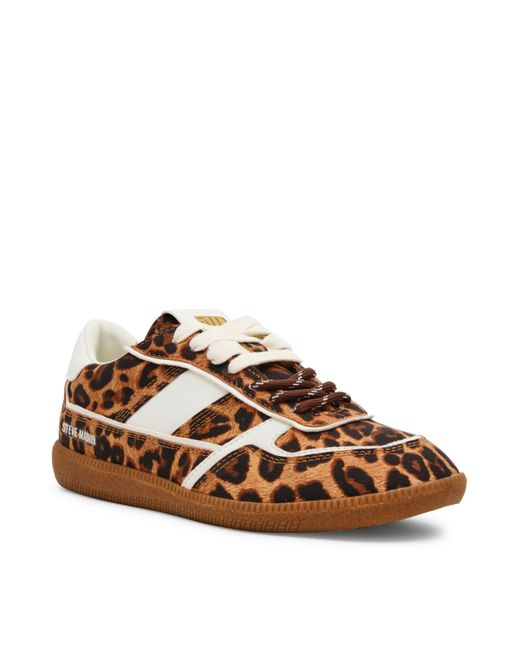 Steve Madden Brown Simple Low-Top Casual Shoes