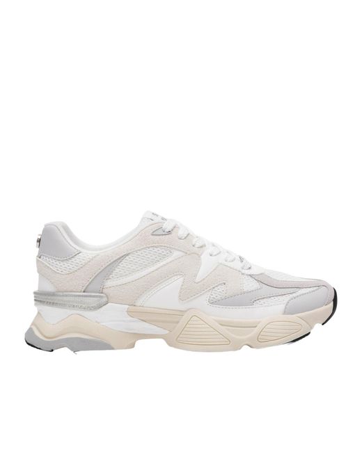 Steve Madden White Color Blocked Sneakers