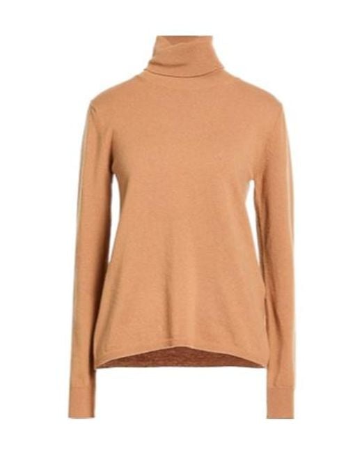 Max Mara Pink Solid Knit Sweater