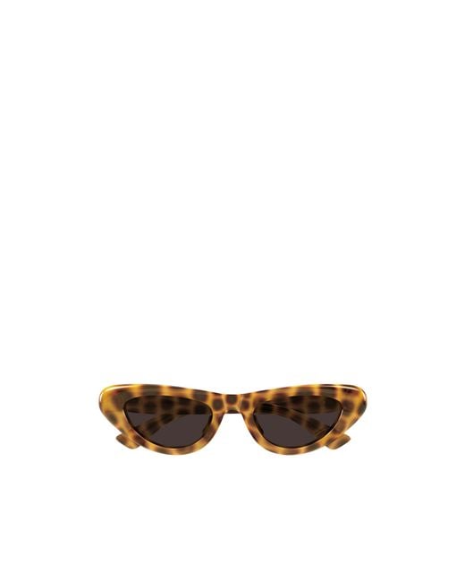 Bottega Veneta Multicolor Eyewear Cat Eye Frame Sunglasses