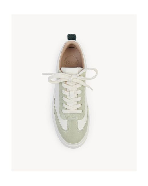 Chloé White Low Lace-Up Sneakers