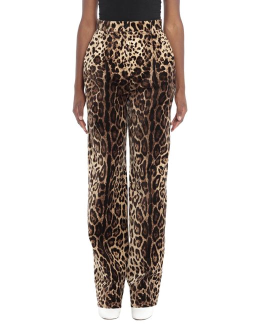 Dolce & Gabbana Brown Leopard-Print Velvet Pants