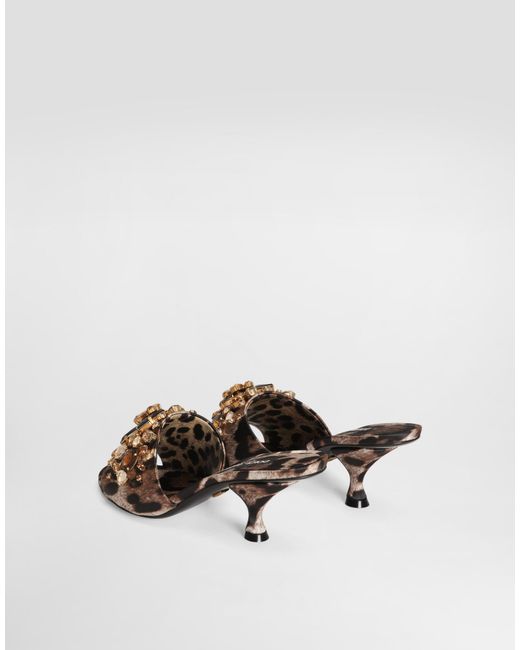 Dolce & Gabbana Brown Leopard Jewelled Sandals