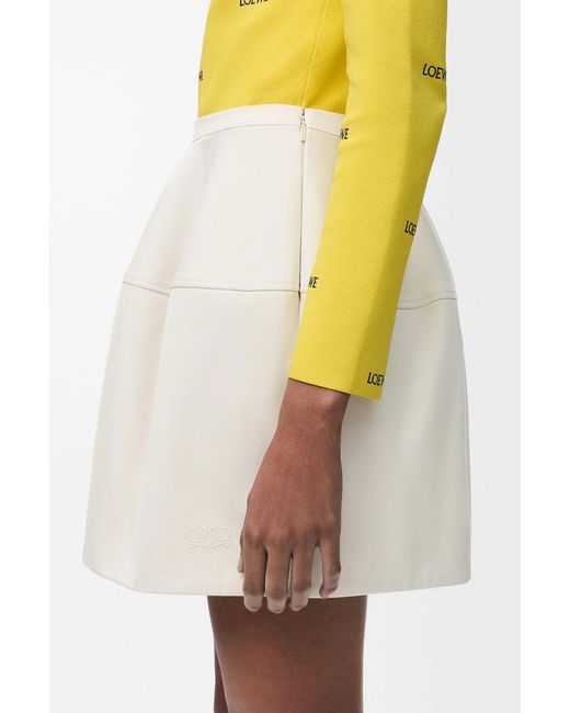 Loewe Natural Mini Skirt