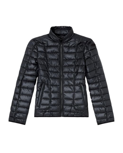 DIESEL Blue Quilted Puffer Jacket