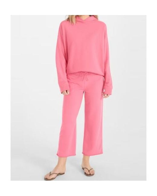 Juvia Pink Culotte