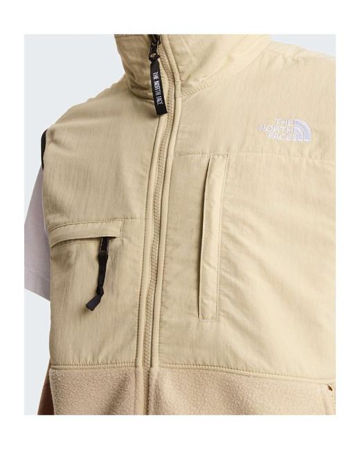 The North Face Natural Retro Denali Vest for men