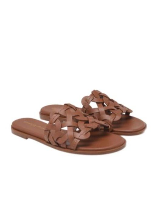 Gianvito Rossi Brown Amalfi Interwoven Round Toe Sandals