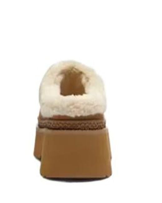 COACH Brown Logo Signature Cecelia Clogs