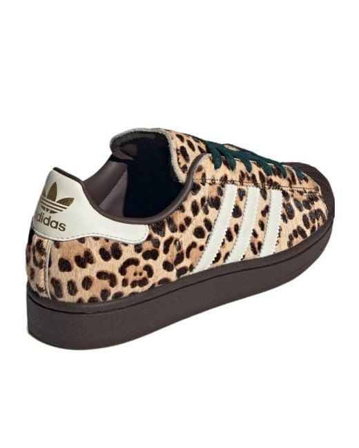 Adidas Originals Brown Leopard Lace Up Sneakers