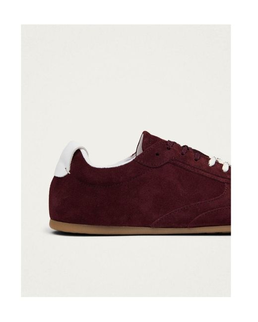 Alohas Brown Tb.24 Suede Burgundy Leather Sneakers