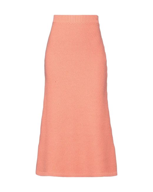 Chloé Pink Plain Colour Midi Skirts