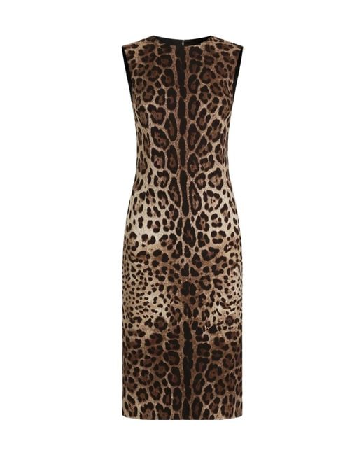 Dolce & Gabbana Brown Leo-Print Charmeuse Dress