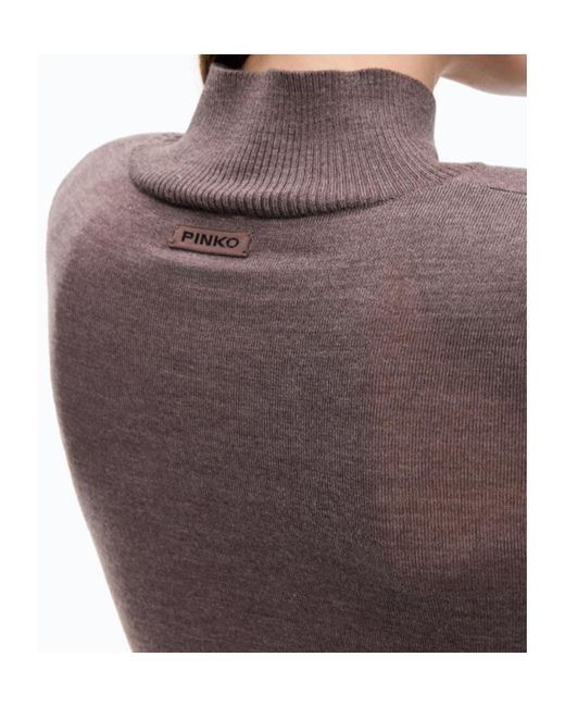 Pinko Brown Fine-Knit Roll-Neck Dress