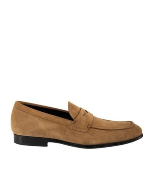 Tod's Brown Penny Suede Loafers for men