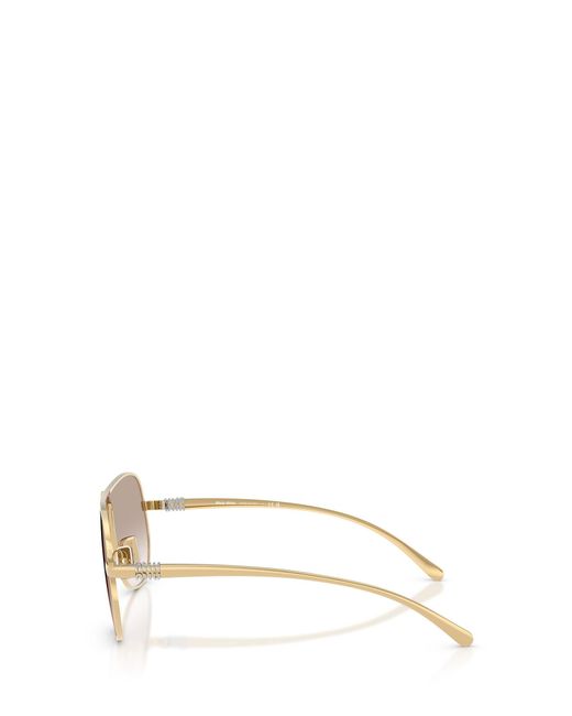 Miu Miu Multicolor Eyewear Pilot Frame Full Rim Sunglasses