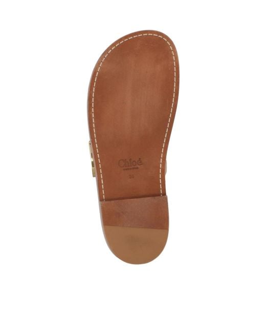 Chloé Brown Simple Round-Toe Sandals
