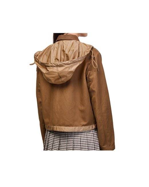 Moncler Brown Aconitum Jacket