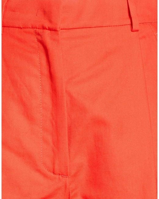 Weekend by Maxmara Red Minimal Solid Shorts