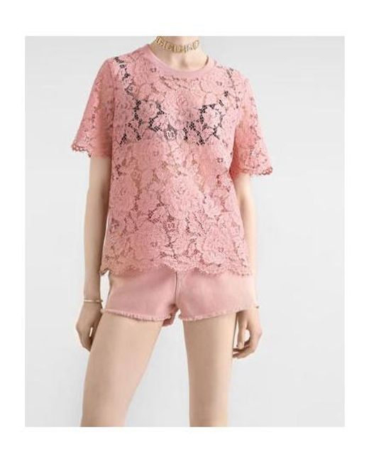 Dolce & Gabbana Pink Dolce & Gabbana Lace Top