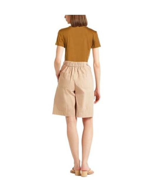 Max Mara Brown Solid Color Short-Sleeve T-Shirt