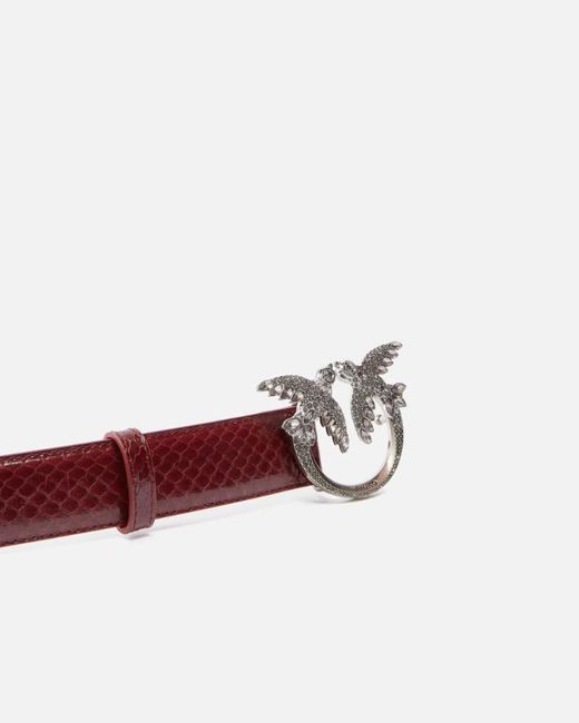 Pinko Multicolor Galleria 3-Cm Belt