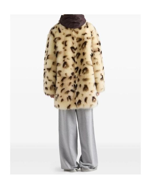 Prada Natural Neutrals Coats