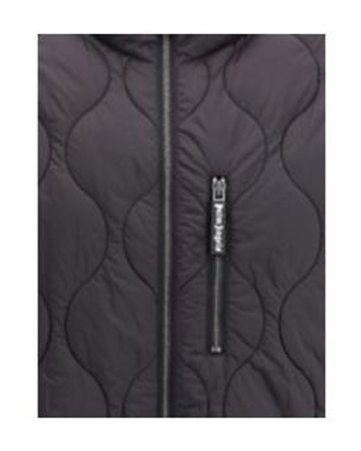 Palm Angels Blue Curved Logo Quilted Jacket for men