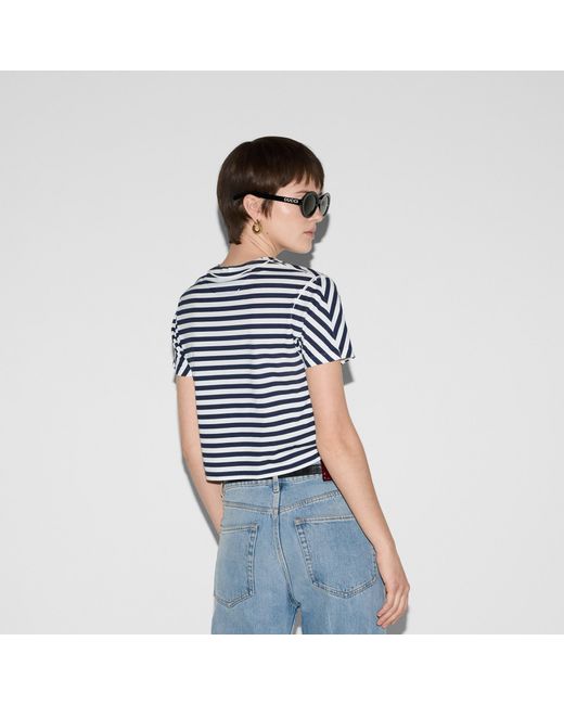 Gucci Blue Logo Printed Striped T-Shirt