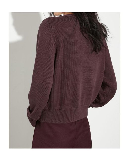 MAX&Co. Purple Long Sleeve Cardigan