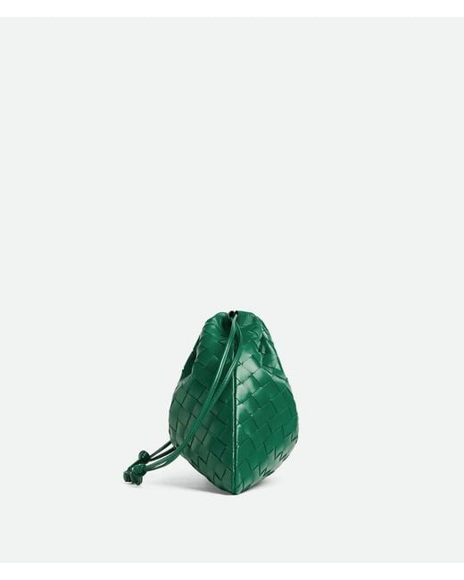 Bottega Veneta Green Dustbag