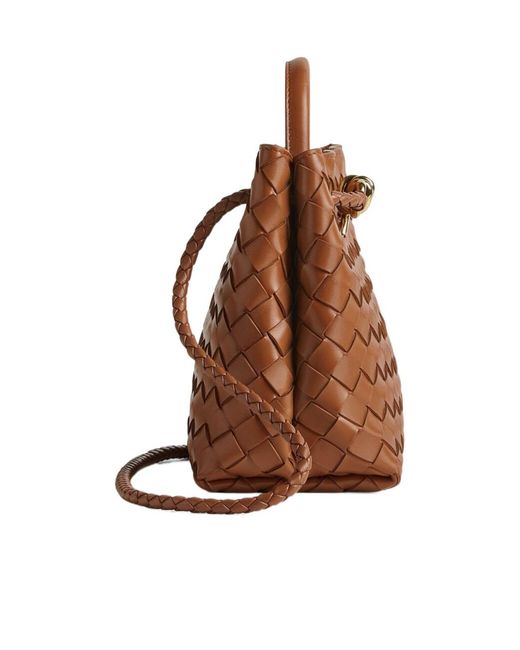 Bottega Veneta Brown Andiamo Small Tote Bag