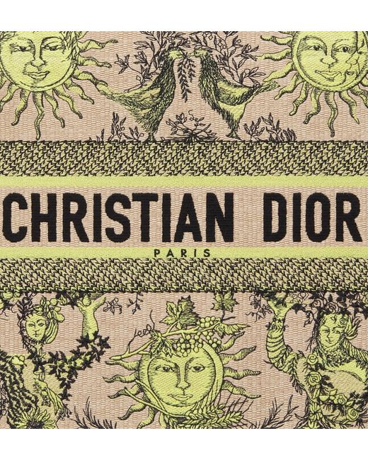 Dior Metallic Medium Iviera Book Tote Handbag