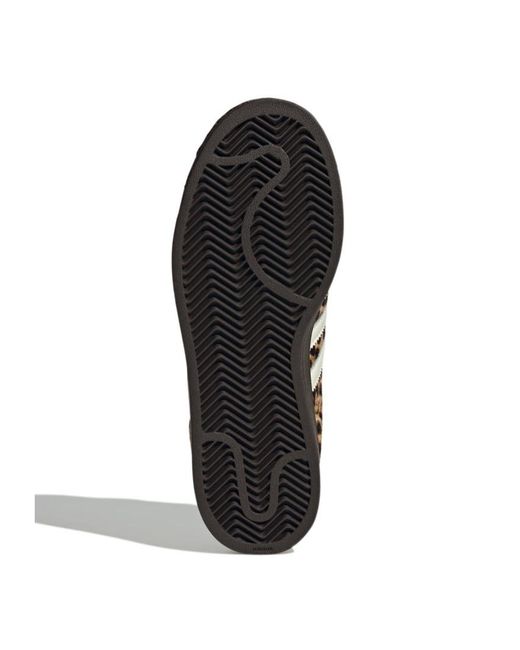 Adidas Originals Brown Leopard Lace Up Sneakers