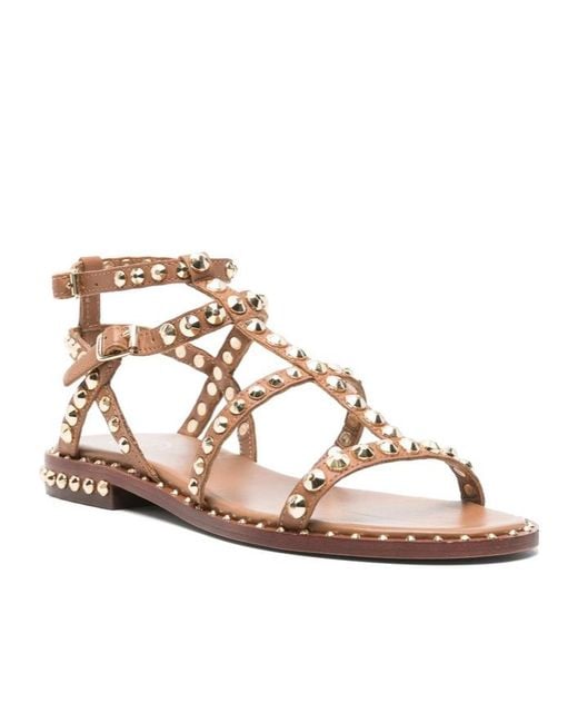 Ash Brown Studded Flat Sandals
